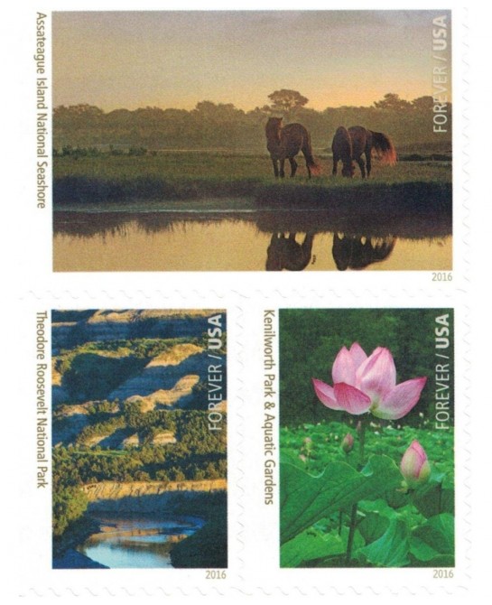 National Parks Forever Stamps Sheet of 16 Postage Stamps 2016 $55.33 Collectibles Display & Storage