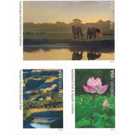 National Parks Forever Stamps Sheet of 16 Postage Stamps 2016 $55.33 Collectibles Display & Storage