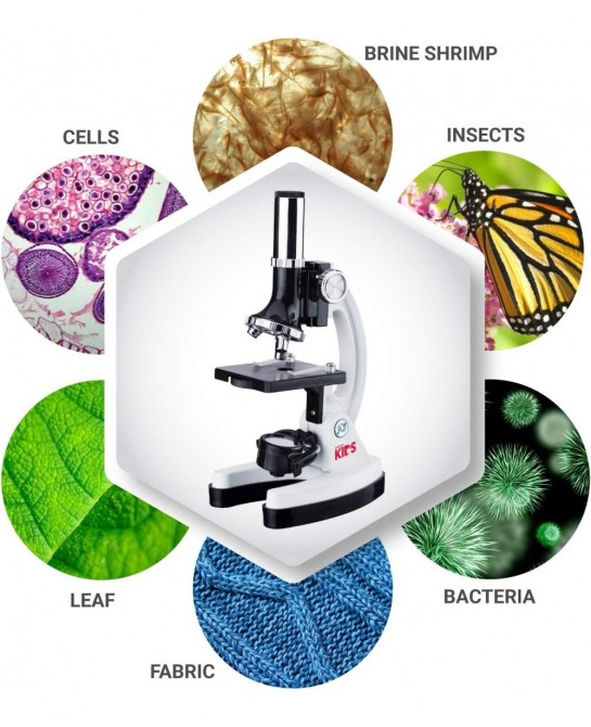 120X-1200X 52-pcs Kids Beginner Microscope STEM Kit with Metal Body Microscope Plastic Slides LED Light and Carrying Box (M30...
