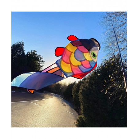 42-inch Smiling Sunflower Rainbow Windsock + 32-inch Rainbow Fish Windsock $42.98 Kites & Wind Spinners