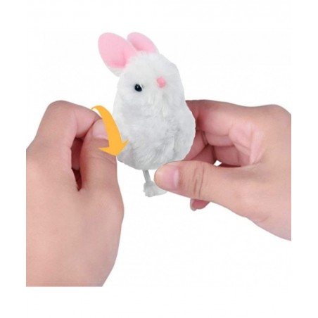 Easter Wind Up Toys 12PCS Wind-up Bunnies Jumping Bunny Toys for Boys and Girls Wind Up Easter Basket Stuffers $26.15 Spring ...