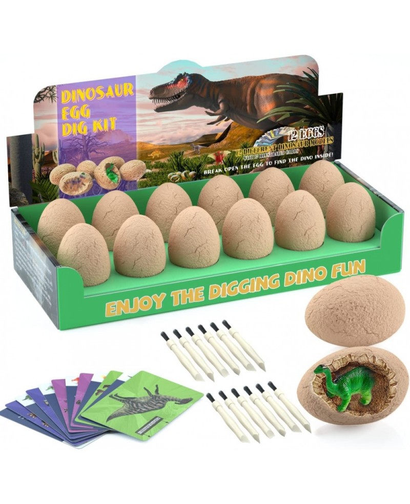 Dinosaur Eggs Excavation Dig Kit - Dinosaur Toys for Kids - Break Open 12 Dinosaur Eggs and Discover 12 Cute Dinosaurs - Arch...