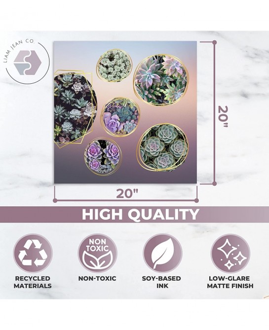 500 Pieces Puzzle for Adults - Nature Puzzle Games Pack of 2 - Jigsaw Gradient Puzzle Games 1 Round & 1 Square - Succulent Pl...