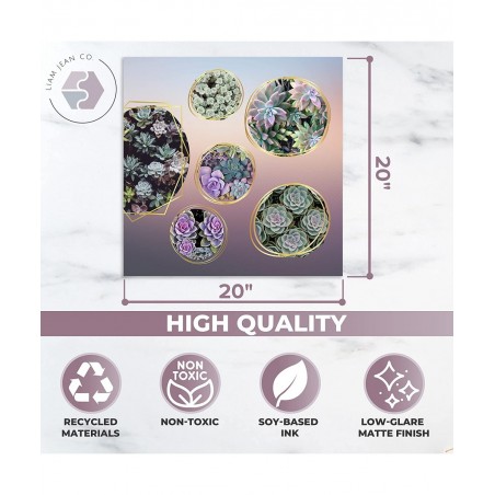 500 Pieces Puzzle for Adults - Nature Puzzle Games Pack of 2 - Jigsaw Gradient Puzzle Games 1 Round & 1 Square - Succulent Pl...