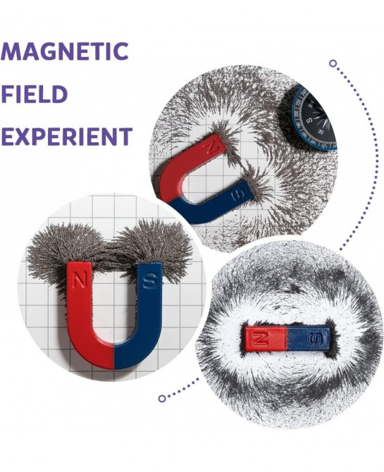 Magnetic Iron Powder Iron Filings 1 Pound （16 Ounces） Including 4 Magnets for Magnetic Field School Project Science Experimen...