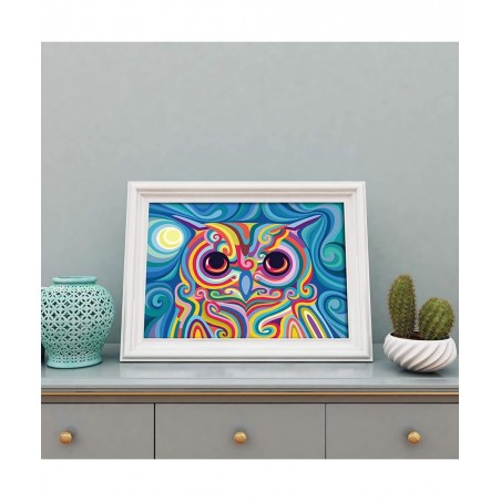 Paint by Numbers for Kids Ages 8-12 DIY Neon Owl Paint by Number on Rolled Canvas Colorful Paintworks Animals Artwork for Hom...