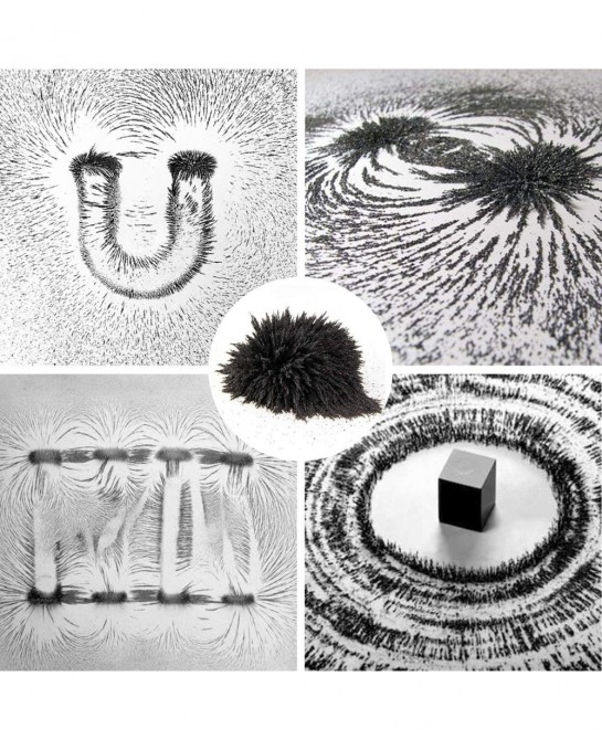 Magnetic Iron Powder Iron Filings 1 Pound （16 Ounces） Including 4 Magnets for Magnetic Field School Project Science Experimen...