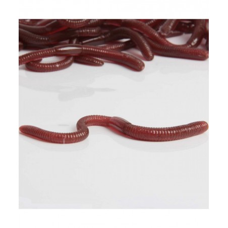 24 Pieces Fake Earthworm Faux Plastic Soft Lifelike Stretchy Rubber Earthworms Trick Toy Fishing Lures Baits for Halloween Ap...