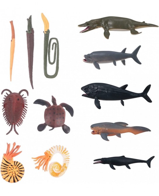 12pcs Cambrian Sea Creature Animal Figurines Plastic Ancient Marine Animal Toy Figures Prehistoric Educational Learning Toys ...