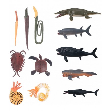 12pcs Cambrian Sea Creature Animal Figurines Plastic Ancient Marine Animal Toy Figures Prehistoric Educational Learning Toys ...