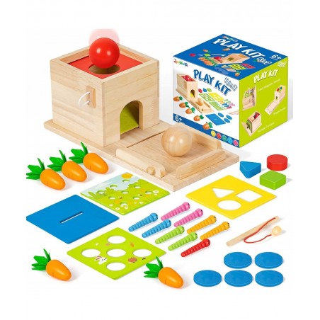 5-in-1 Wooden Play Kit Montessori Toy - Object Permanence Box Coin Box Carrot Harvest Catch Worm Shape Sorter - Toddler Learn...