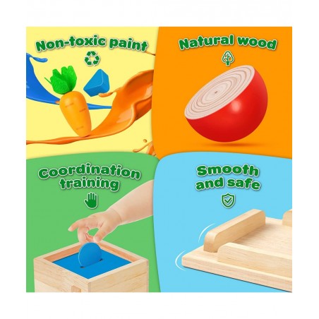 5-in-1 Wooden Play Kit Montessori Toy - Object Permanence Box Coin Box Carrot Harvest Catch Worm Shape Sorter - Toddler Learn...