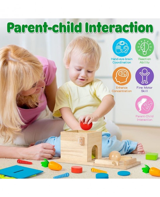 5-in-1 Wooden Play Kit Montessori Toy - Object Permanence Box Coin Box Carrot Harvest Catch Worm Shape Sorter - Toddler Learn...