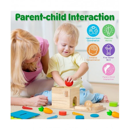 5-in-1 Wooden Play Kit Montessori Toy - Object Permanence Box Coin Box Carrot Harvest Catch Worm Shape Sorter - Toddler Learn...