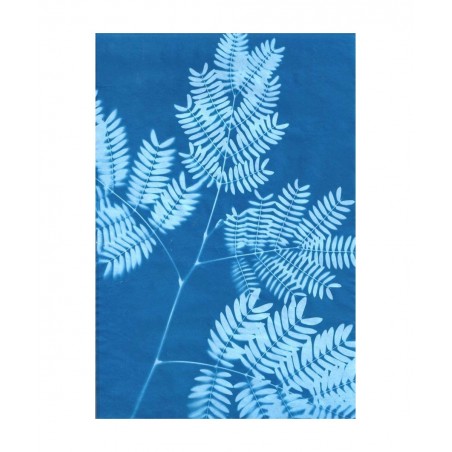 Paper Kit $27.03 Craft Kits