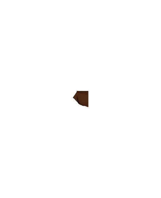 Chocolate Brown Crepe Paper Streamers 2 Rolls 145 Feet Total $15.48 Kids' Party Decorations