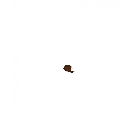 Chocolate Brown Crepe Paper Streamers 2 Rolls 145 Feet Total $15.48 Kids' Party Decorations