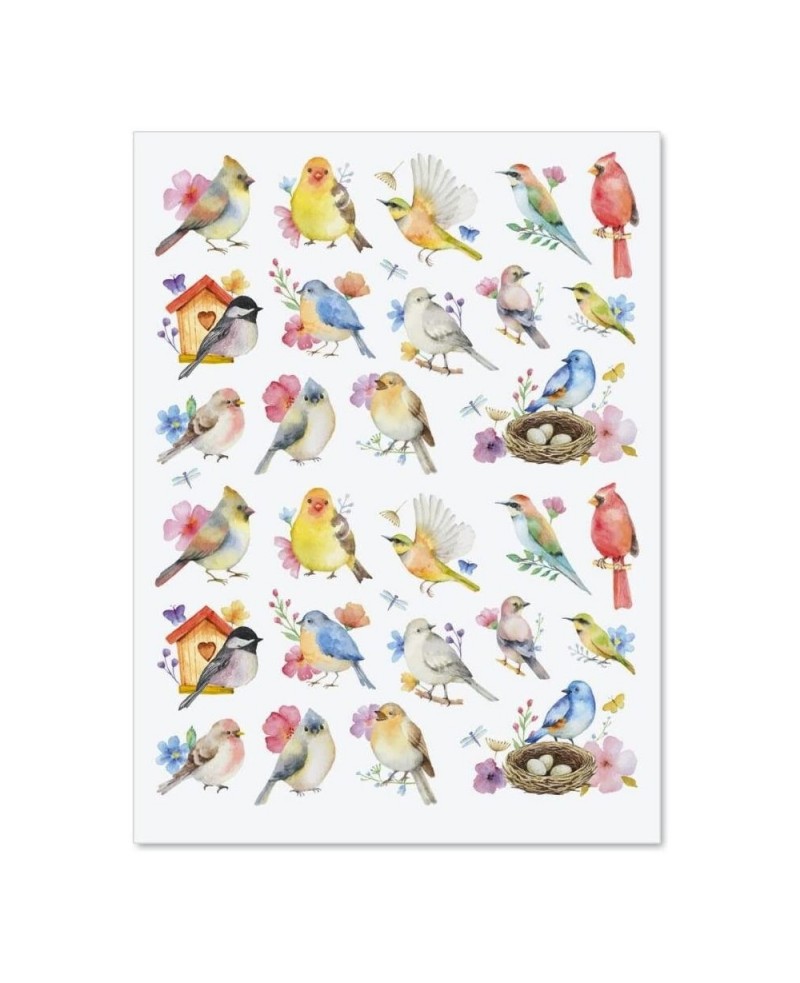Watercolor Birds Stickers - Set of 52 Stickers Two 8-1/2" x 11" Sheets Holiday Arts and Crafts Fun for Kids Spring Themed Gif...