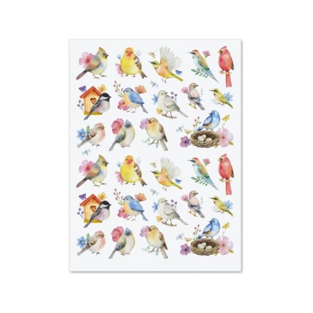 Watercolor Birds Stickers - Set of 52 Stickers Two 8-1/2" x 11" Sheets Holiday Arts and Crafts Fun for Kids Spring Themed Gif...