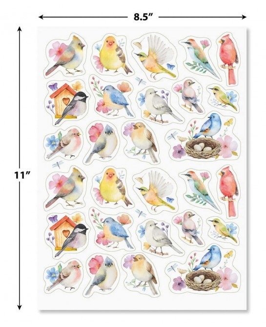 Watercolor Birds Stickers - Set of 52 Stickers Two 8-1/2" x 11" Sheets Holiday Arts and Crafts Fun for Kids Spring Themed Gif...