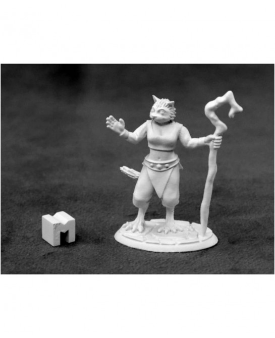 Miniatures Mistveil Catfolk Sorceress 03927 Dark Heaven Metal Figure $20.31 Miniature Novelty Toys
