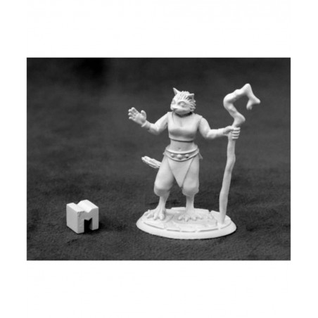 Miniatures Mistveil Catfolk Sorceress 03927 Dark Heaven Metal Figure $20.31 Miniature Novelty Toys