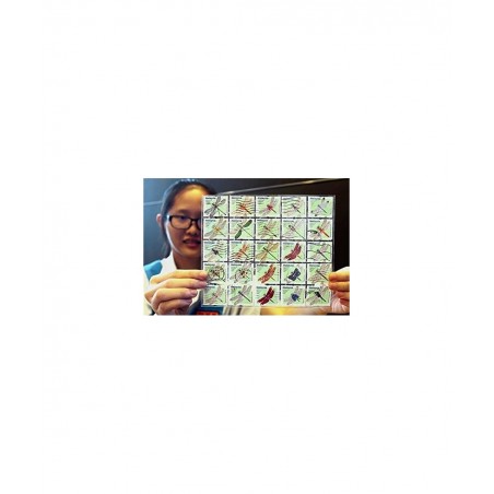 World Stamp Collectors Kit ♥ 24 Stamps from All Over The World + Magnifying Lens Bundle for Stamps Collector Edition $32.43 C...