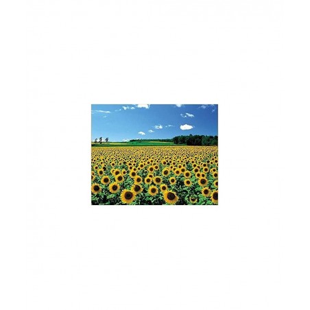 1000 piece Premium Jigsaw Puzzles "A Sunflower Field" A-1095 $28.90 Jigsaw Puzzles