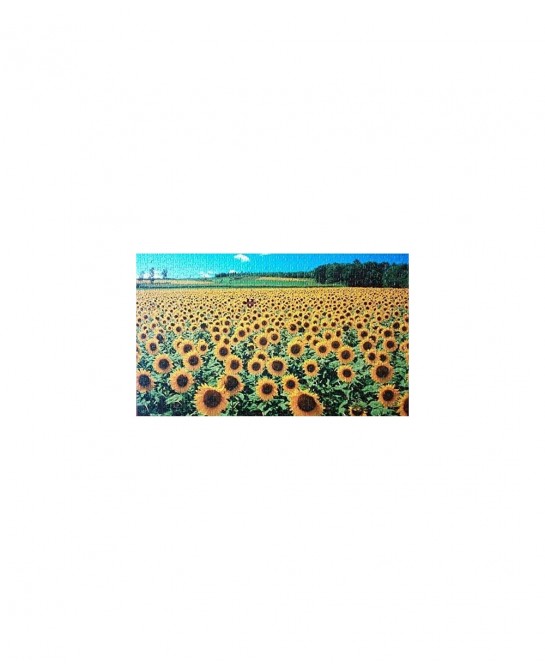 1000 piece Premium Jigsaw Puzzles "A Sunflower Field" A-1095 $28.90 Jigsaw Puzzles
