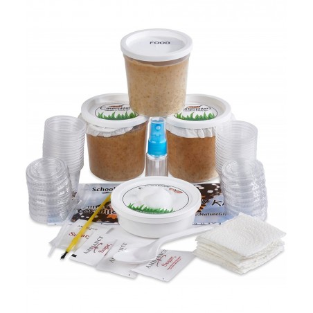 Store 32 Live Caterpillars Shipped Now: Butterfly Kit Refill for School Sized Kit with Extra Larva Rearing Supplies $81.20 Ed...