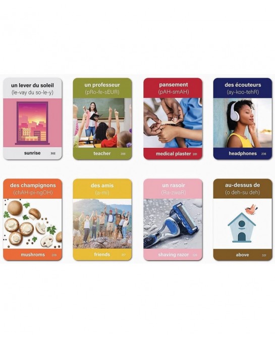 350 French Vocabulary Flash Cards – Educational Language Learning Resource with Pictures for Memory & Sight Words - Fun Game ...