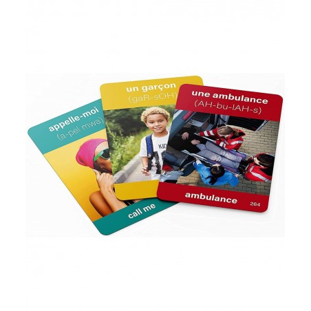 350 French Vocabulary Flash Cards – Educational Language Learning Resource with Pictures for Memory & Sight Words - Fun Game ...