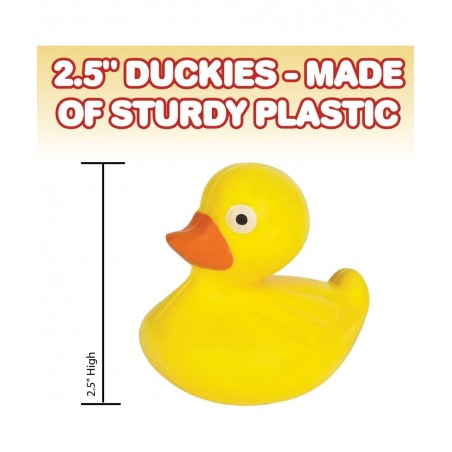 Duck Pond Matching Game for Kids - Includes 20 Plastic Ducks with Numbers and 3’ x 6” Inflatable Pool - Fun Memory Game - Wat...