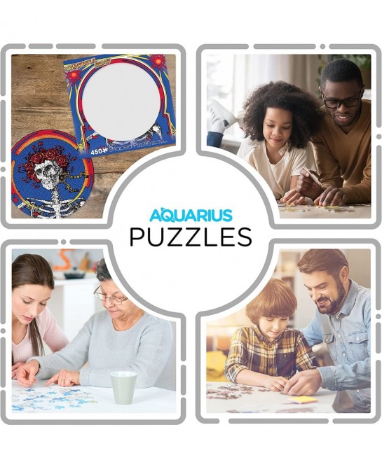 Grateful Dead Skull & Roses Record Disc Puzzle (450 Piece Jigsaw Puzzle) - Glare Free - Precision Fit - Officially Licensed M...