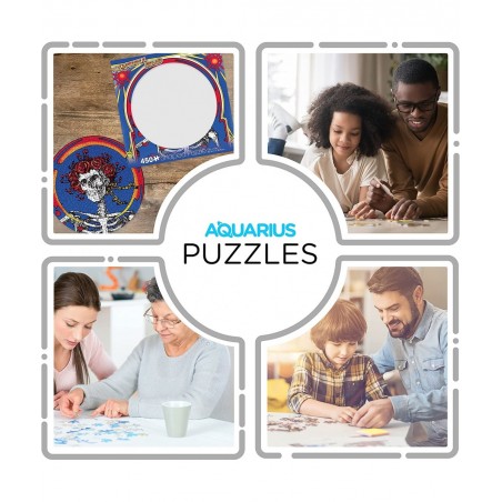 Grateful Dead Skull & Roses Record Disc Puzzle (450 Piece Jigsaw Puzzle) - Glare Free - Precision Fit - Officially Licensed M...