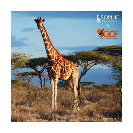 Sophie The Giraffe x GCF (Giraffe Conservation Foundation) Set $45.86 Baby Teether Toys