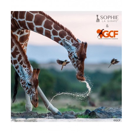 Sophie The Giraffe x GCF (Giraffe Conservation Foundation) Set $45.86 Baby Teether Toys