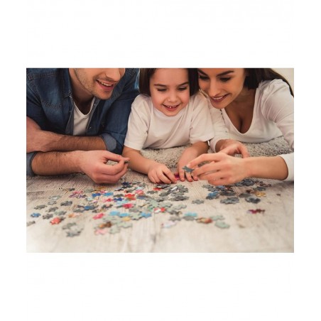 Sweet Cottages : A Collection of 12 Mini Shaped Puzzles Totaling 500 color coded pieces By Artist: Kim Leo $34.47 Board Games