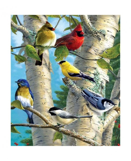 Full Drill 5d Diamond Painting Kits Cross Stitch Craft Kit New DIY Kits for Kids Adults Paint by Number Kits (Bird 25x30cm Sq...