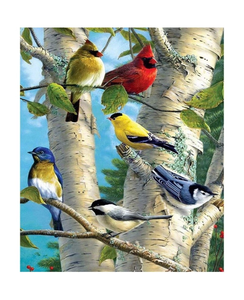Full Drill 5d Diamond Painting Kits Cross Stitch Craft Kit New DIY Kits for Kids Adults Paint by Number Kits (Bird 25x30cm Sq...