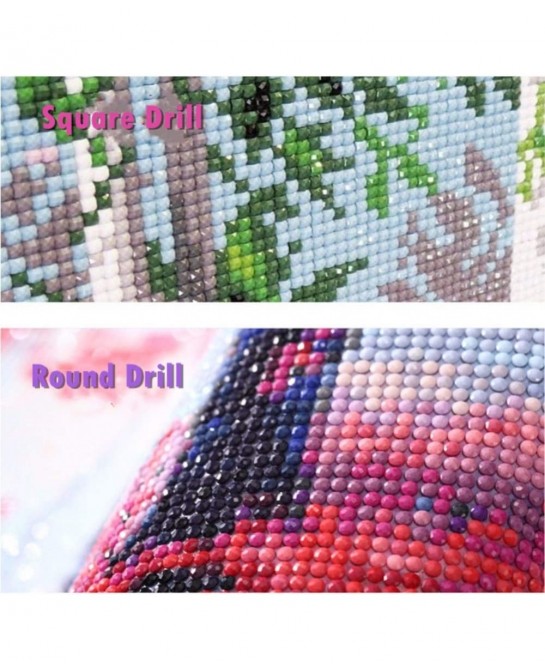 Full Drill 5d Diamond Painting Kits Cross Stitch Craft Kit New DIY Kits for Kids Adults Paint by Number Kits (Bird 25x30cm Sq...